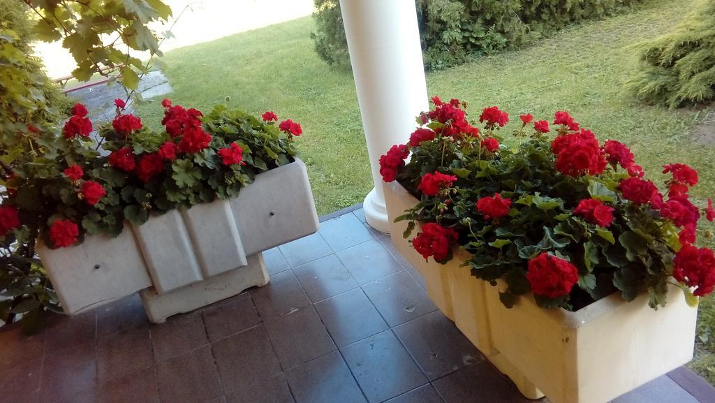 Julia Vendeghaz Daire Sárospatak Dış mekan fotoğraf
